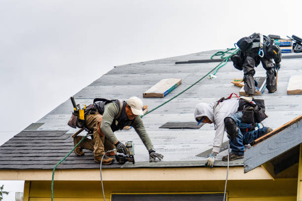 Professional Flat Roof Repair technician working in Lisbon, ND